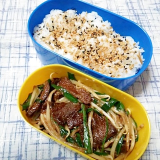 ☆牛肉にらもやし炒め＆胡麻ふりかけご飯弁当☆